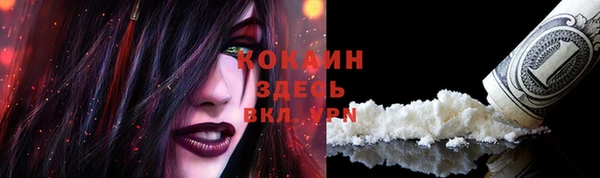 мет Карпинск